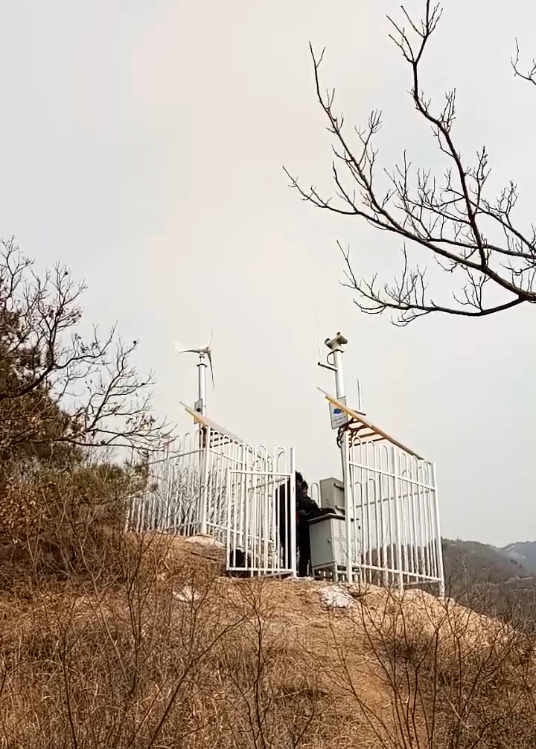 XZ-M型